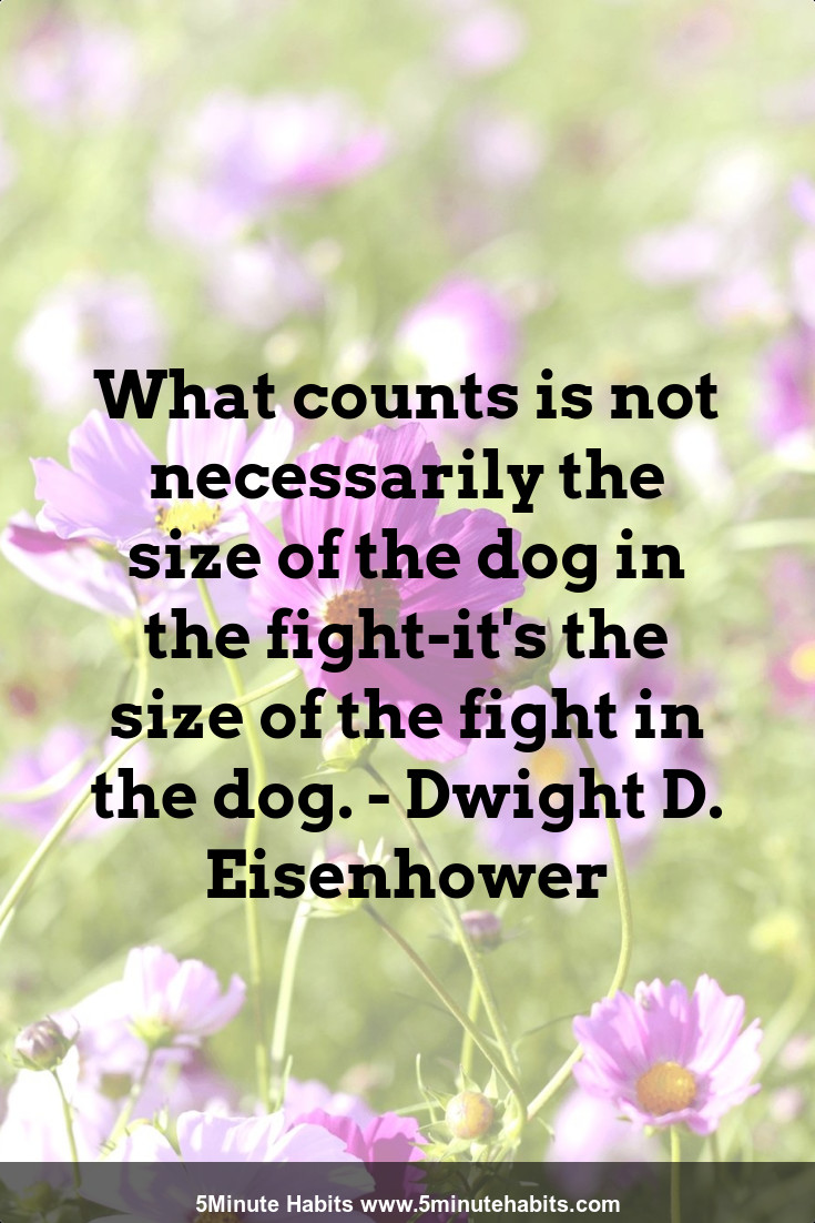 What counts is not necessarily the size of the dog in the fight-it's the size of the fight in the dog. - Dwight D. Eisenhower